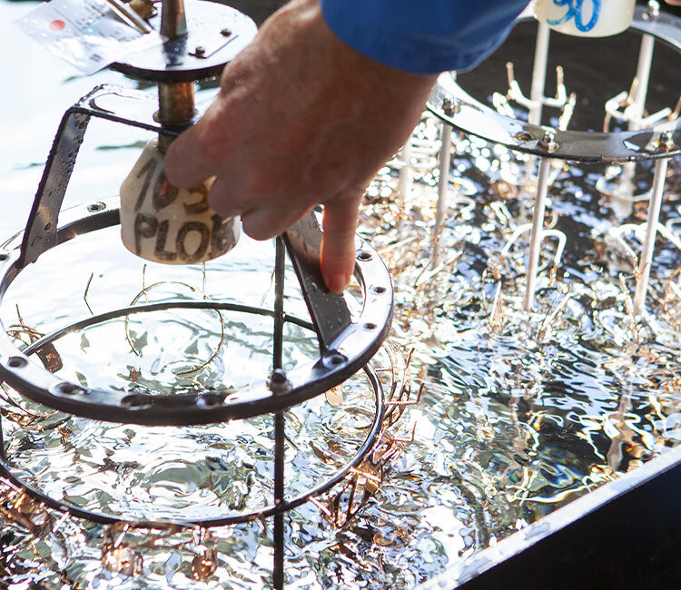 Les Georgettes Precious Metal Jewellery Plating Les Georgettes Precious Metal Jewellery Plating