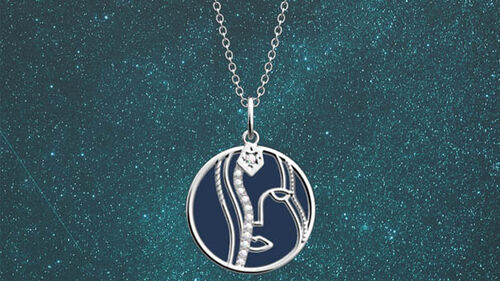 ZODIAQUE SIGN: VIRGO