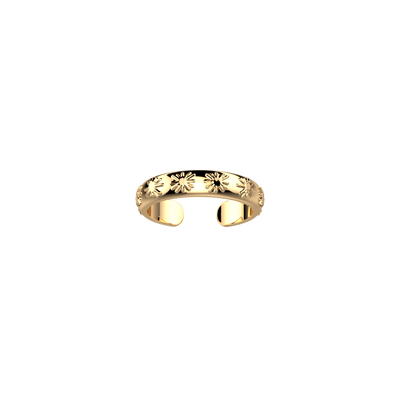Radieuse ring radieuse-ring-bague_small