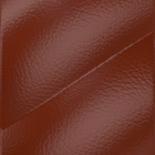 Cuirs Volume image number 1
