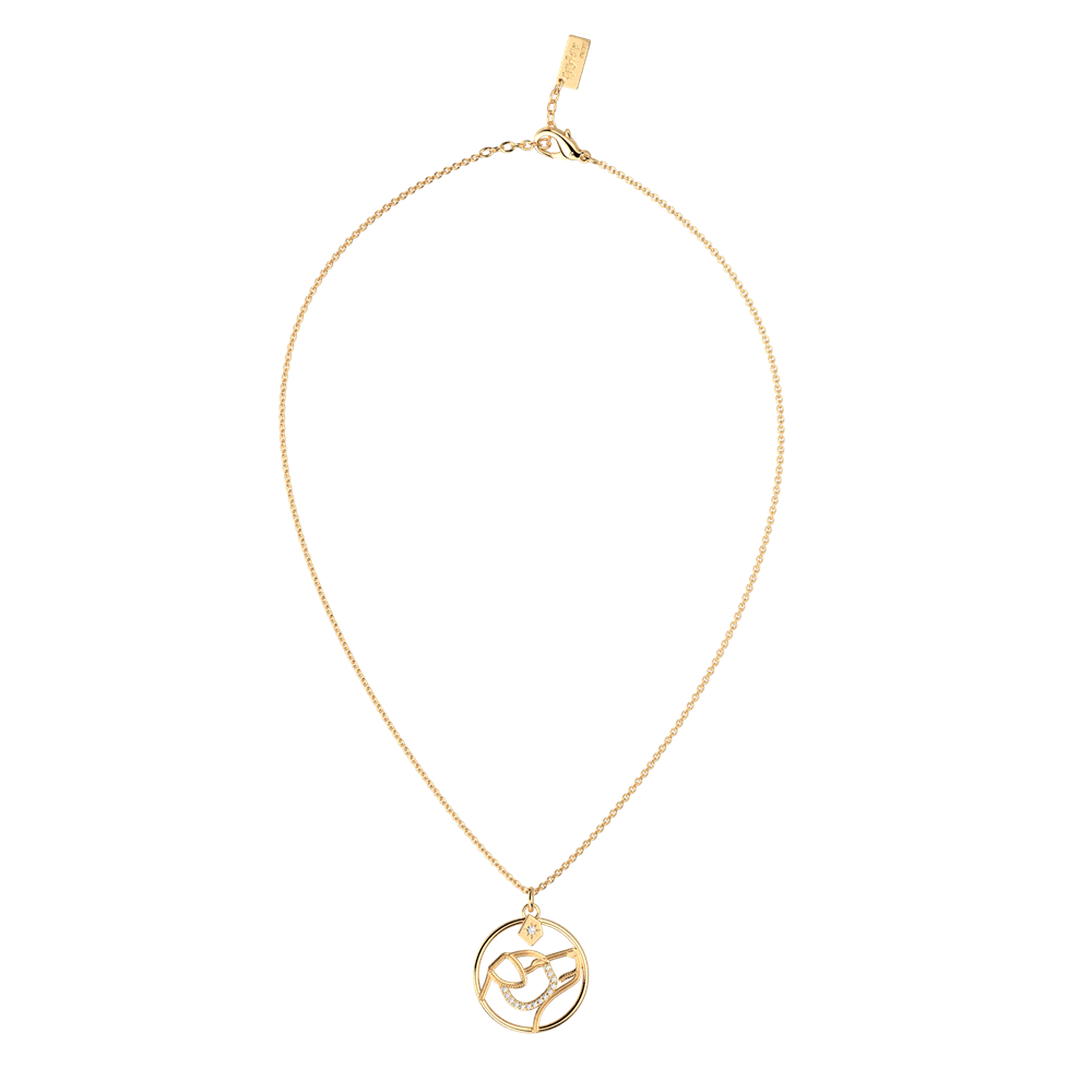 collier-patronus-chien-collier_moyen-5