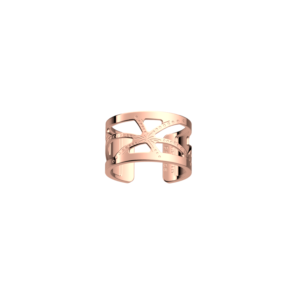 bague-feux-d-artifice-bague_large-1