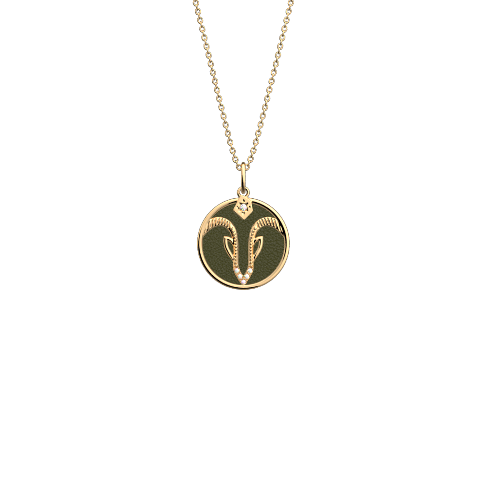 capricorn-necklace-bronze-glitter-verdigris-reversible-insert-pack_collier_zodiaque-2