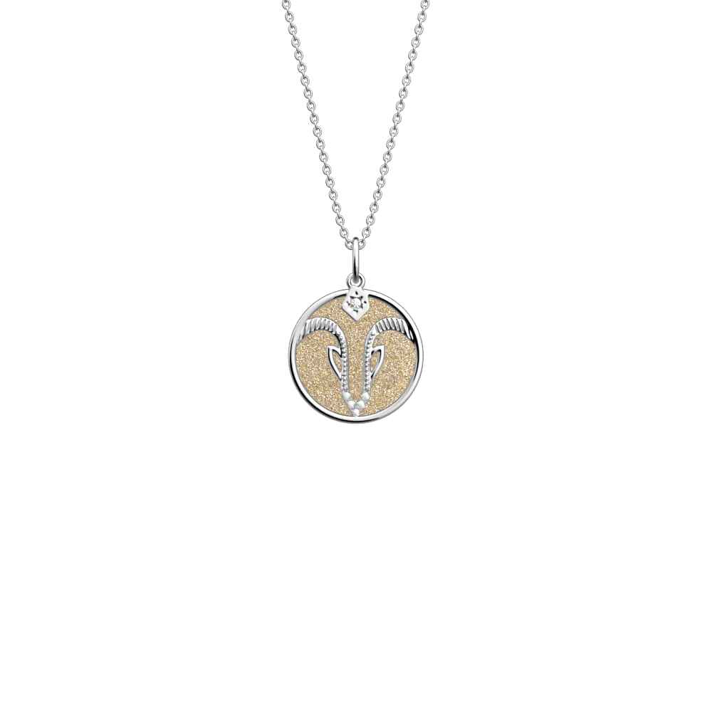 capricorn-necklace-cream-gold-glitter-reversible-insert-pack_collier_zodiaque-1