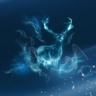 collier-patronus-cerf-collier_moyen-7