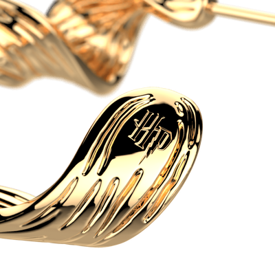 presage-earrings-creoles