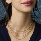 collier-riviere-collier_court-3