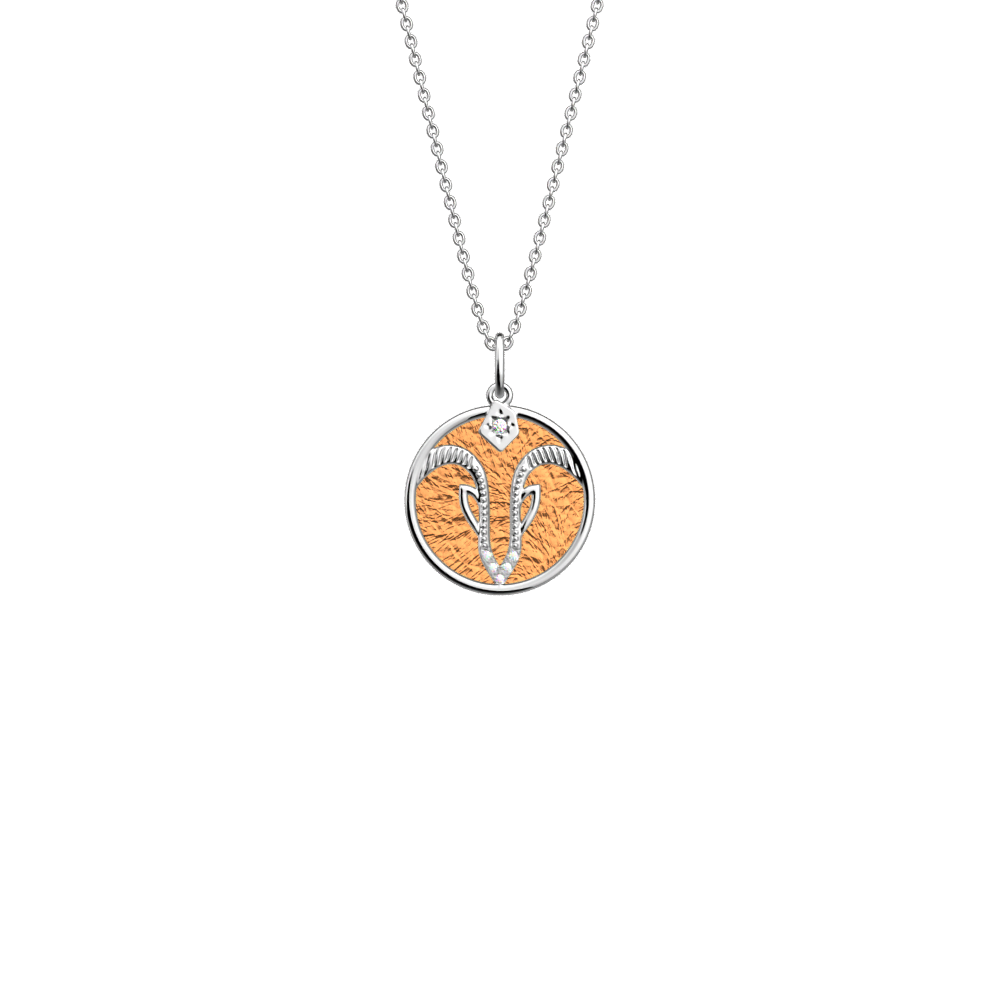 collier-capricorne-cuir-reversible-cuivre-mango-pack_collier_zodiaque-1