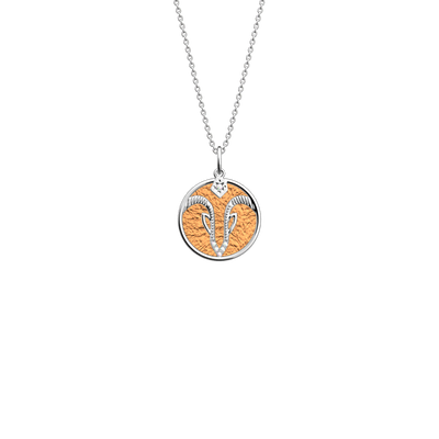 collier-capricorne-cuir-reversible-cuivre-mango-pack_collier_zodiaque