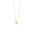 embleme-necklace-collier_moyen-2