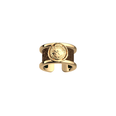 pepite-ring-bronze-glitter-verdigris-reversible-insert-pack_bagues_essentielles