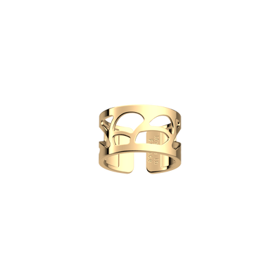 Bague Délicate bague-delicate