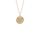 collier-capricorne-cuir-reversible-creme-paillettes-dorees-pack_collier_zodiaque-1