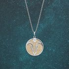 capricorn-necklace-cream-gold-glitter-reversible-insert-pack_collier_zodiaque-5