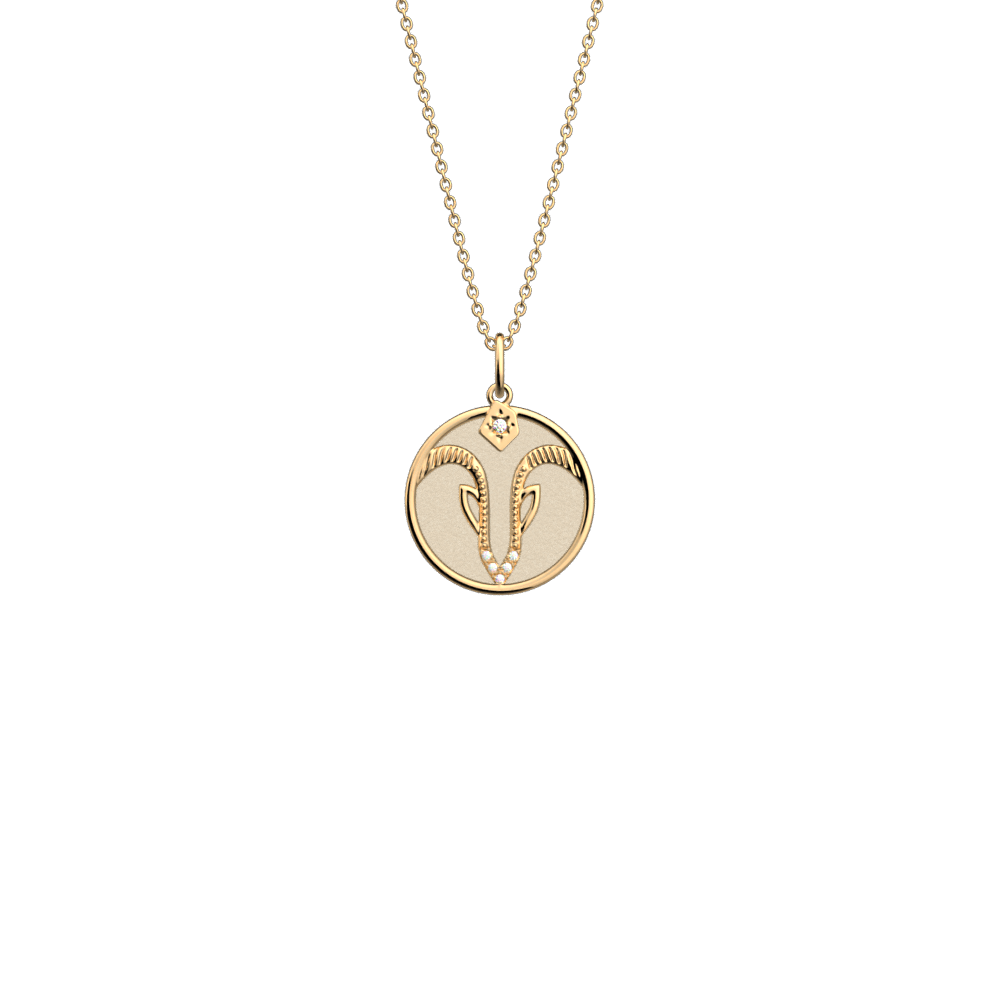 collier-capricorne-cuir-reversible-creme-paillettes-dorees-pack_collier_zodiaque-2