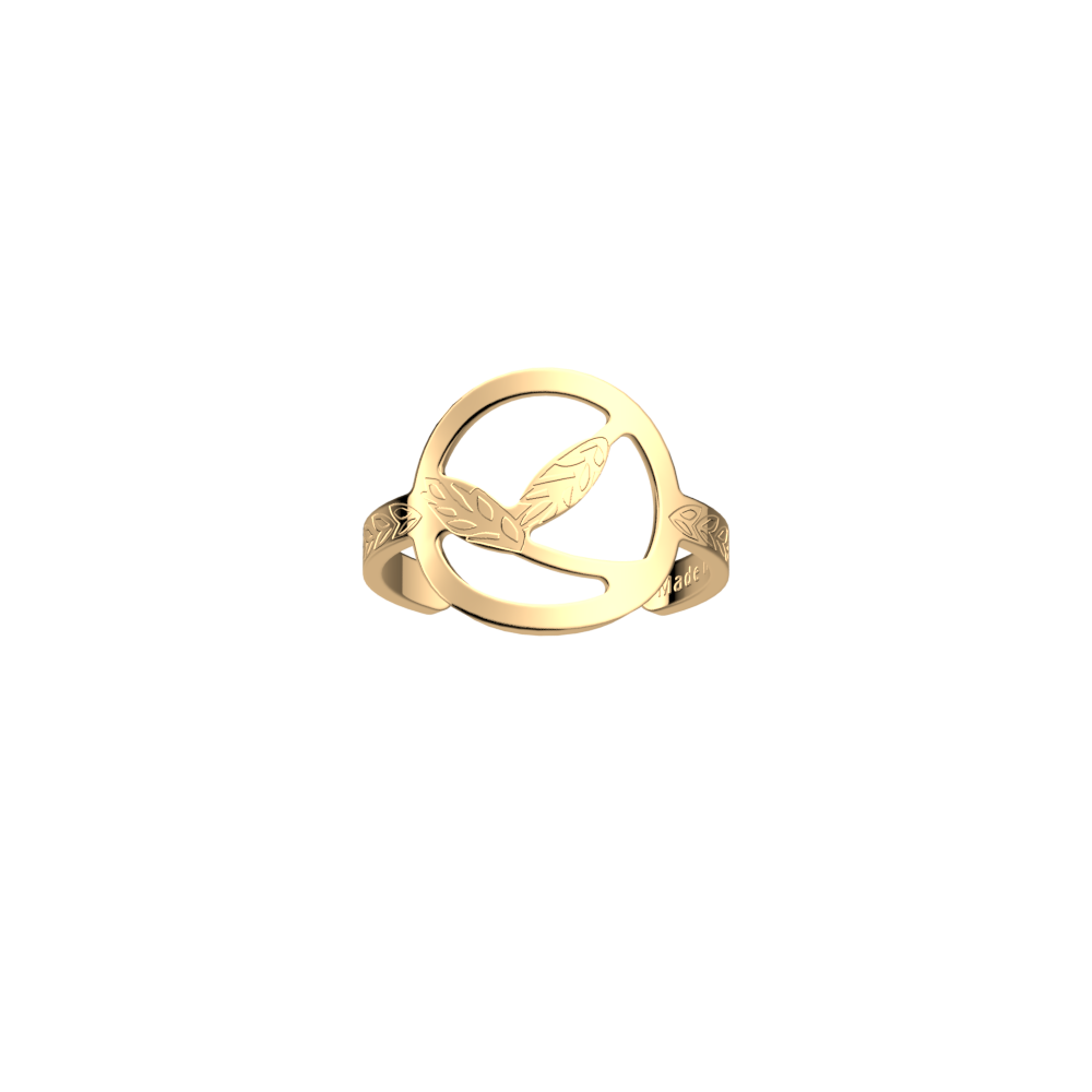 epis-de-ble-ring-bague_large-1