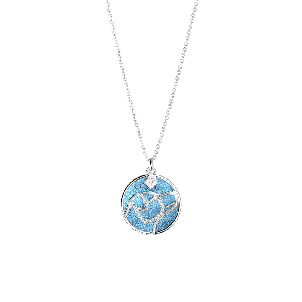 collier-patronus-chien-cuir-reversible-ciel-etoile-marine-pack_colliers-1