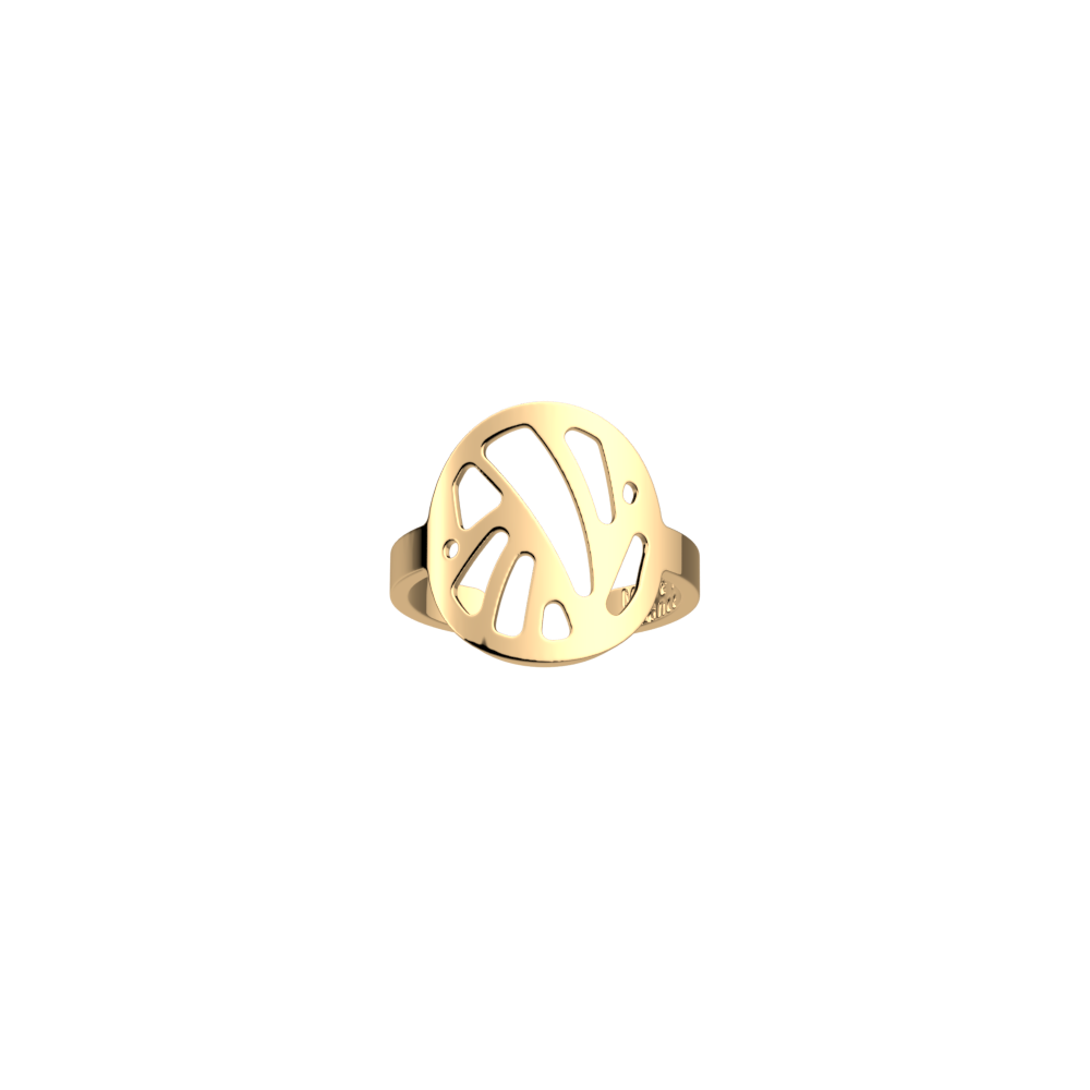 bague-perroquet-bague_large-1