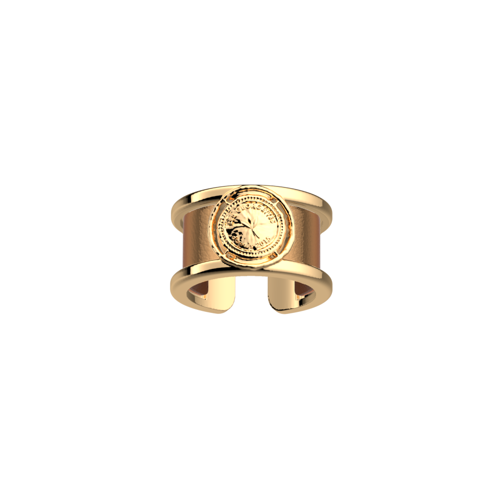 pepite-rings-terracotta-bronze-reversible-insert-pack_bague_precieuse-2