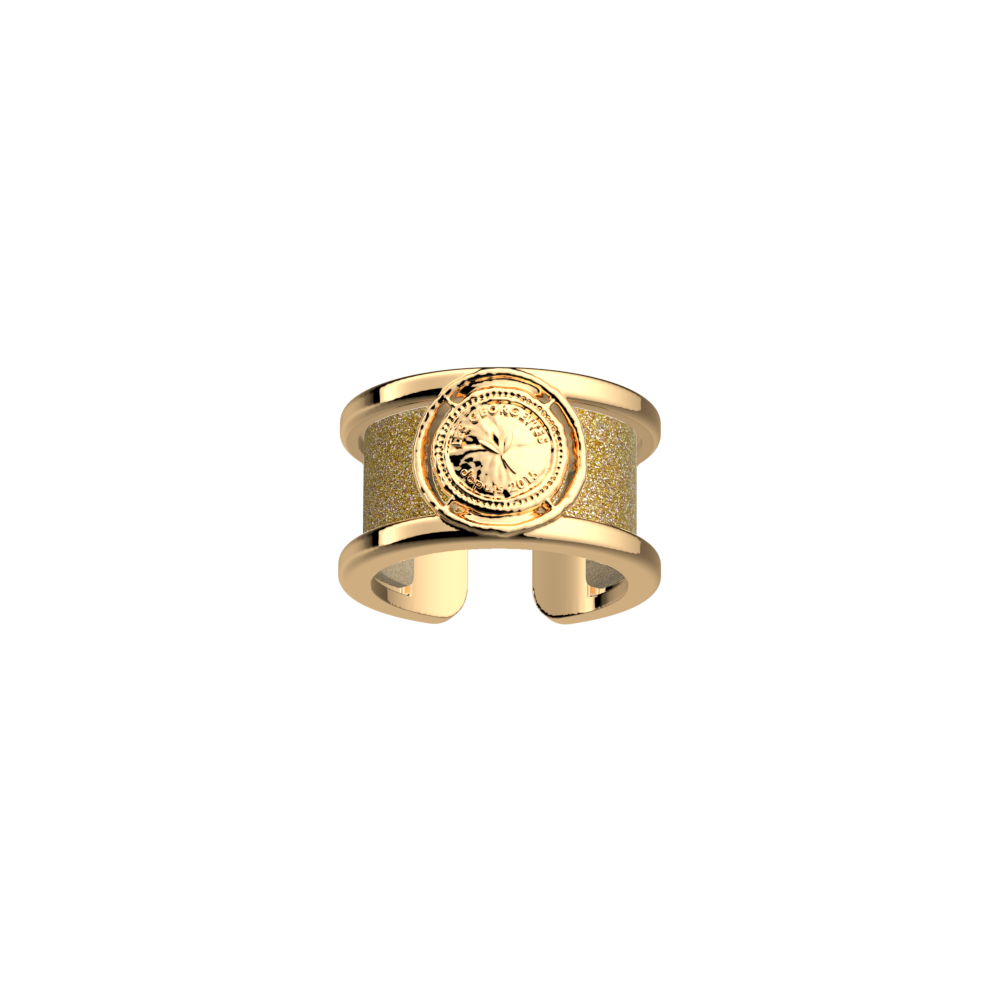 pepite-ring-cream-gold-glitter-reversible-insert-pack_bague_precieuse-2