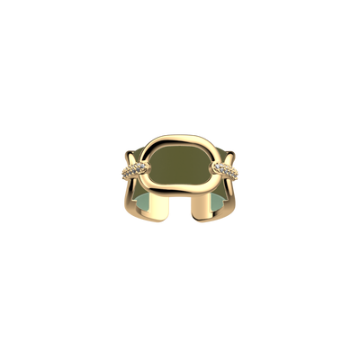 Chaîne ring, Olive / Fresh Water reversible insert chaine-ring-olive-fresh-water-reversible-insert-pack_bague_precieuse