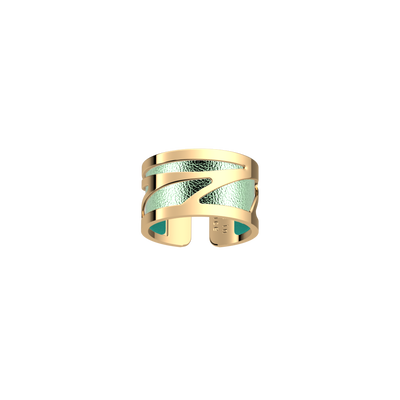 Ara ring, Metallic Aquamarine / Aquatic reversible insert ara-ring-metallic-aquamarine-aquatic-reversible-insert-pack_bagues_essentielles