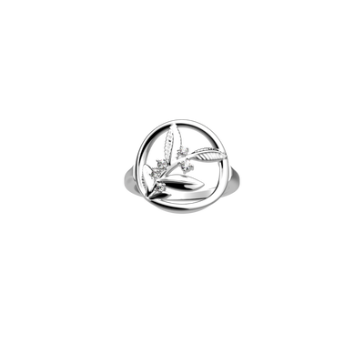 oliveraie-ring