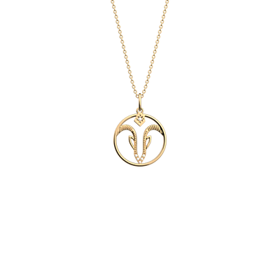 Capricorn necklace capricorn-necklace-motif_medium