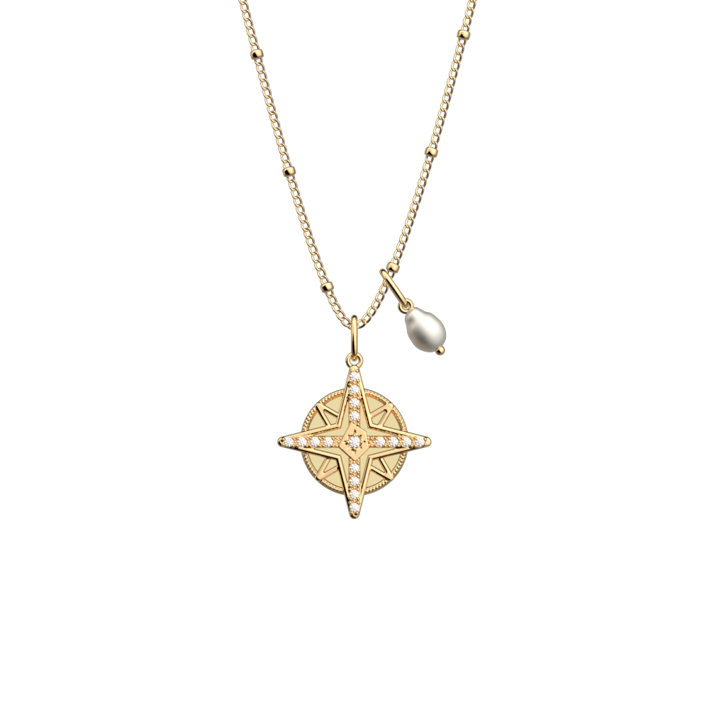 collier-rose-des-vents-cuir-reversible-caramel-sable-fin-pack_colliers-3