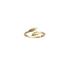 bague-epi-bague_small-1