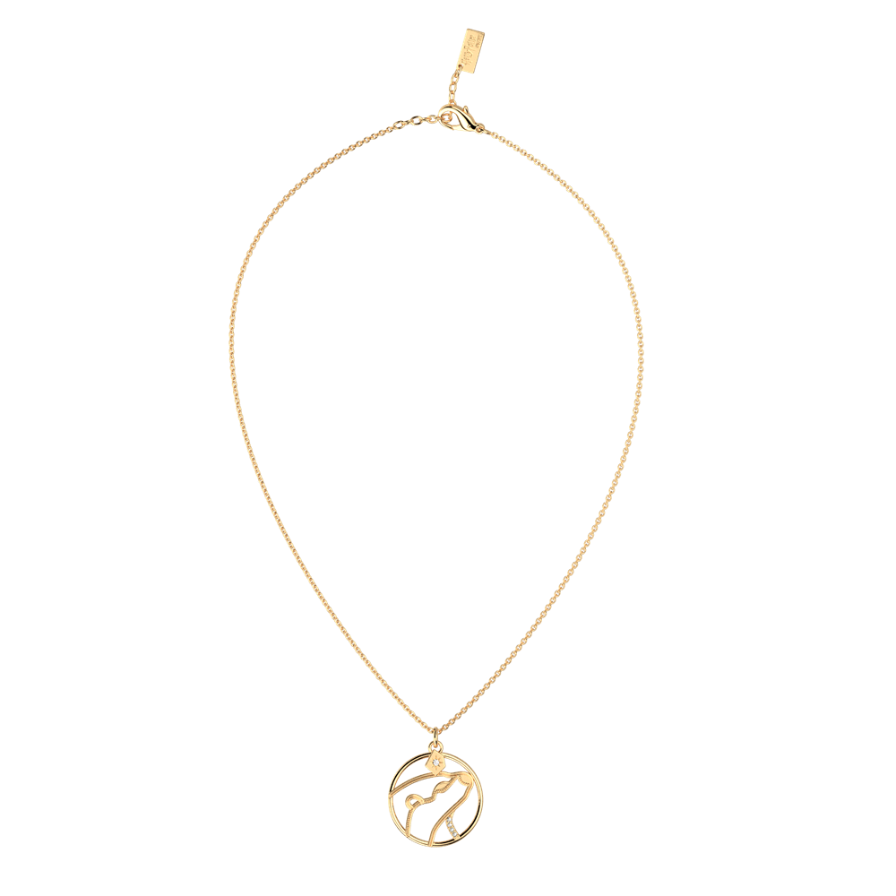 collier-patronus-loutre-collier_moyen-5