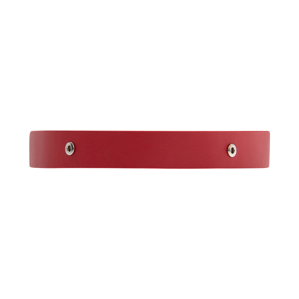 bijou-belt-25-mm-width-red-ceinture-1