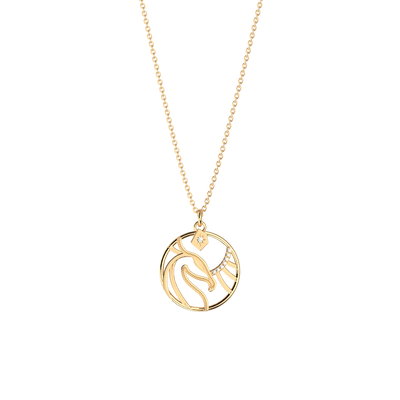 collier-patronus-phoenix-collier_moyen