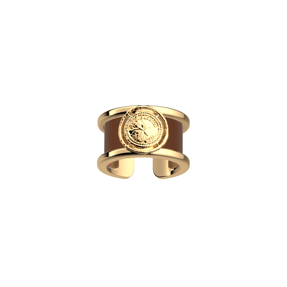 pepite-rings-terracotta-bronze-reversible-insert-pack_bague_precieuse-1