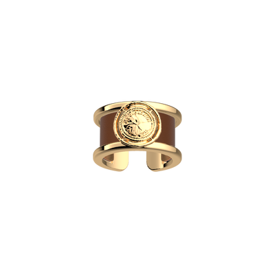 Bague Pépite, cuir réversible Terre Cuite / Bronze bague-pepite-cuir-reversible-terre-cuite-bronze-pack_bague_precieuse