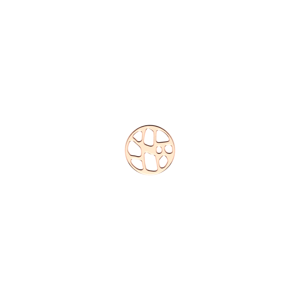 jeton-rond-fougeres-finition-doree-rose-jeton_les_clipsables-1