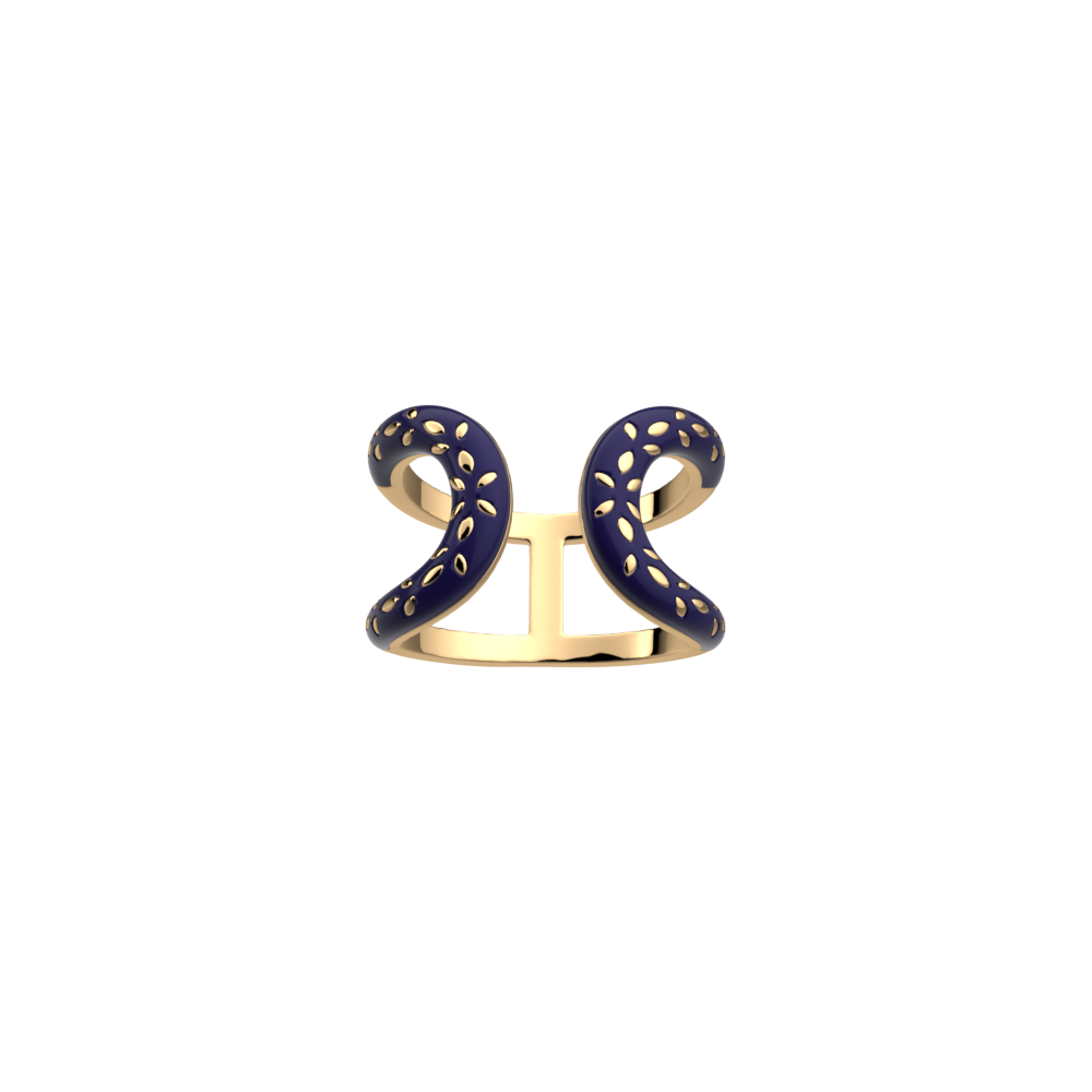 bague-poeme-bague_maxi-1