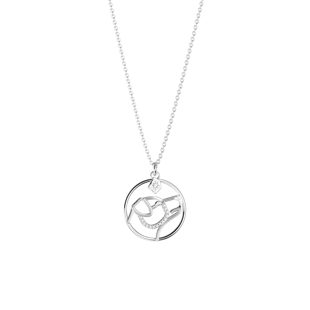 collier-patronus-chien-collier_moyen-1
