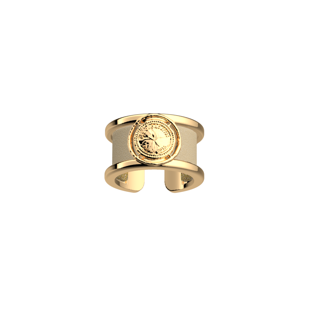 pepite-ring-cream-gold-glitter-reversible-insert-pack_bague_precieuse-1