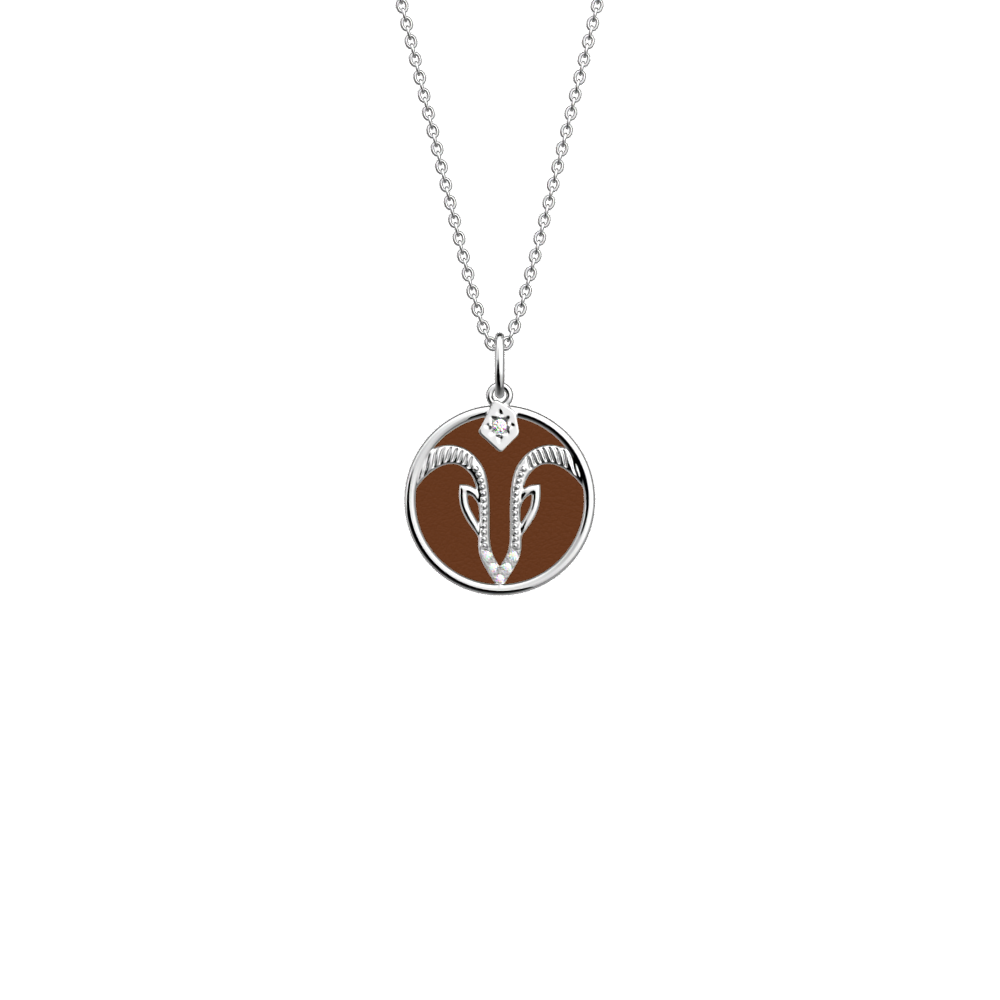 aquarius-necklace-terracotta-bronze-reversible-insert-pack_collier_zodiaque-2