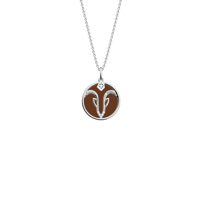 Aquarius necklace, Terracotta / Bronze reversible insert  aquarius-necklace-terracotta-bronze-reversible-insert-pack_collier_zodiaque
