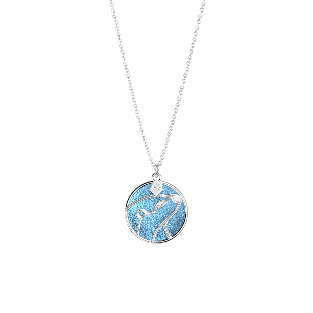 collier-patronus-loutre-cuir-reversible-ciel-etoile-marine-pack_colliers-1