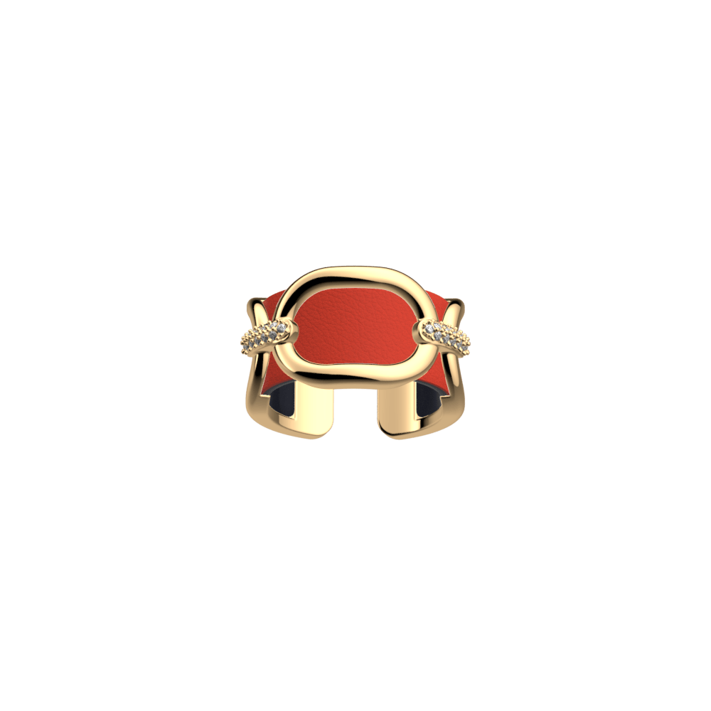 chaine-ring-coral-metallic-navy-blue-reversible-insert-pack_bague_precieuse-1