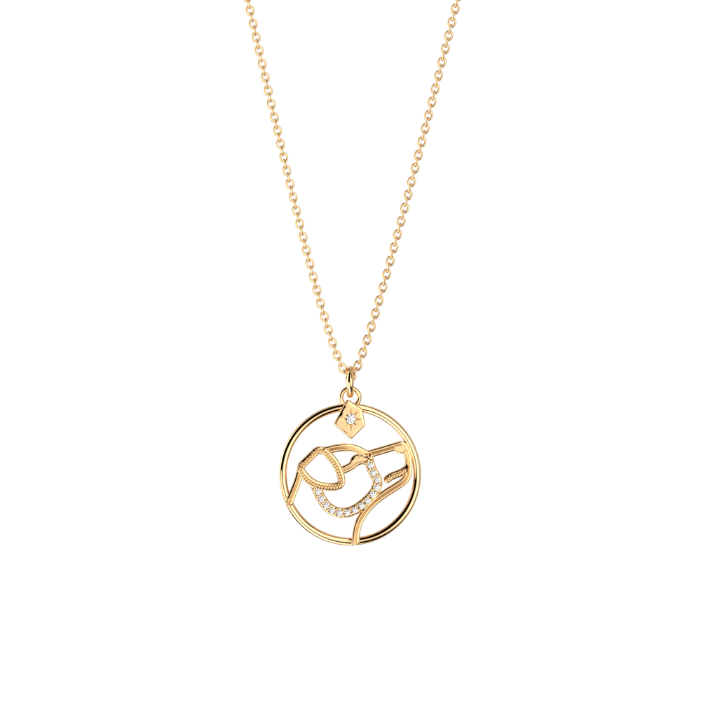 collier-patronus-chien-collier_moyen-1