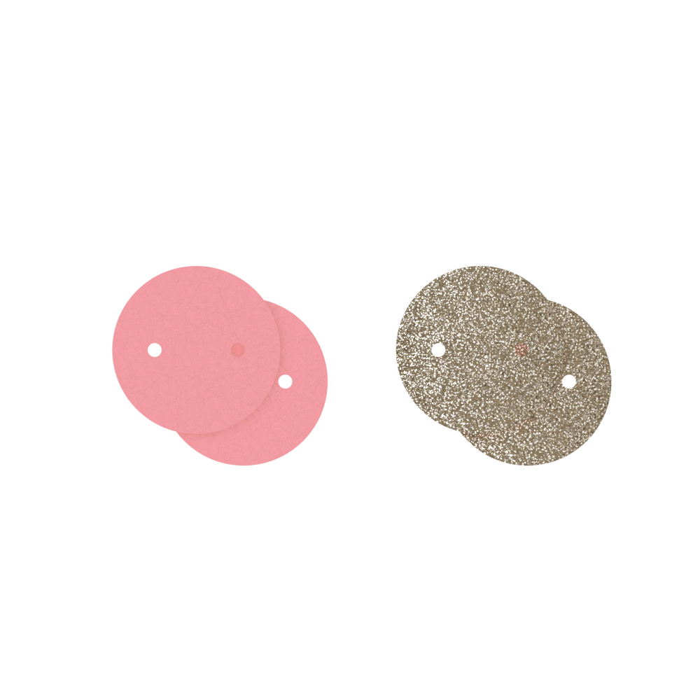 leather-insert-earrings-rose-seed-radiant-glitter-pendantes-1