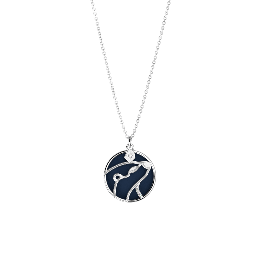 collier-patronus-loutre-cuir-reversible-ciel-etoile-marine-pack_colliers-2