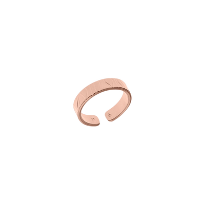 perroquet-ring-bague_fine