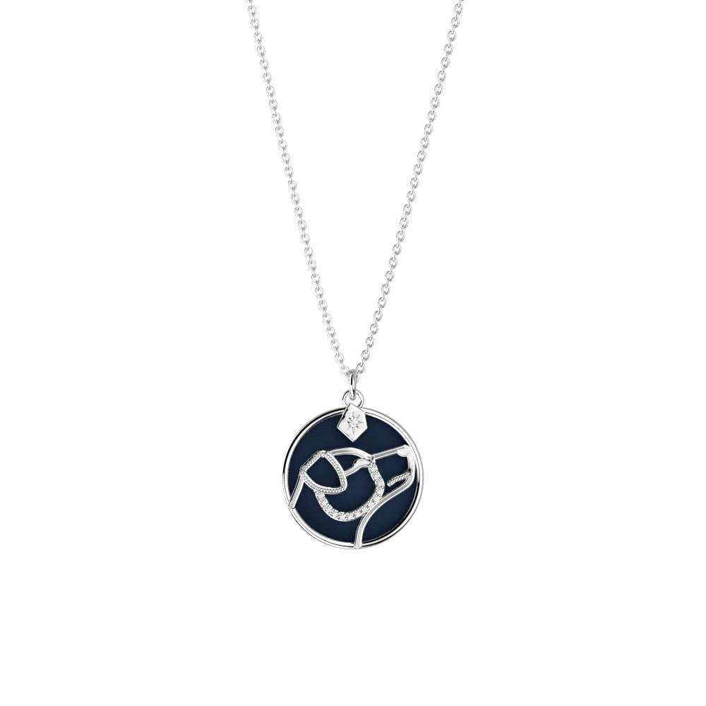 collier-patronus-chien-cuir-reversible-ciel-etoile-marine-pack_colliers-2