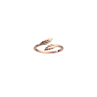 bague-epi-bague_small-1