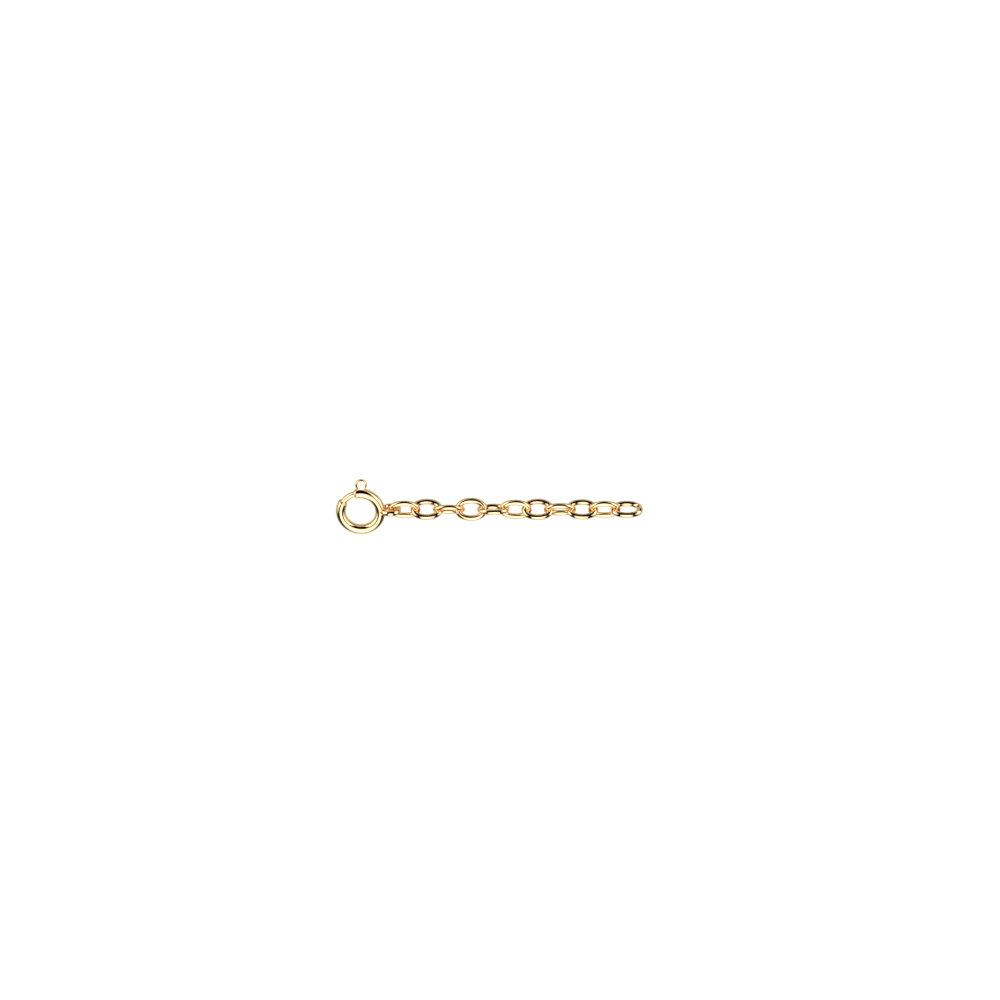 rallonge-de-chaine-doree-chaine-1
